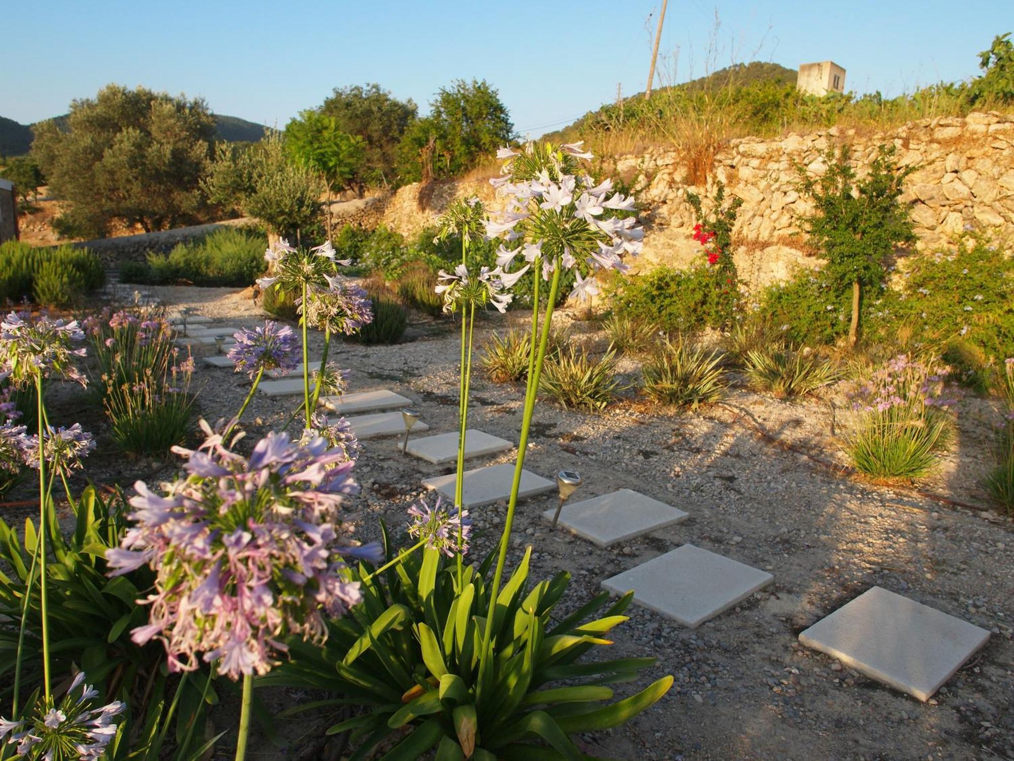 Villa New! Xo Ibiza